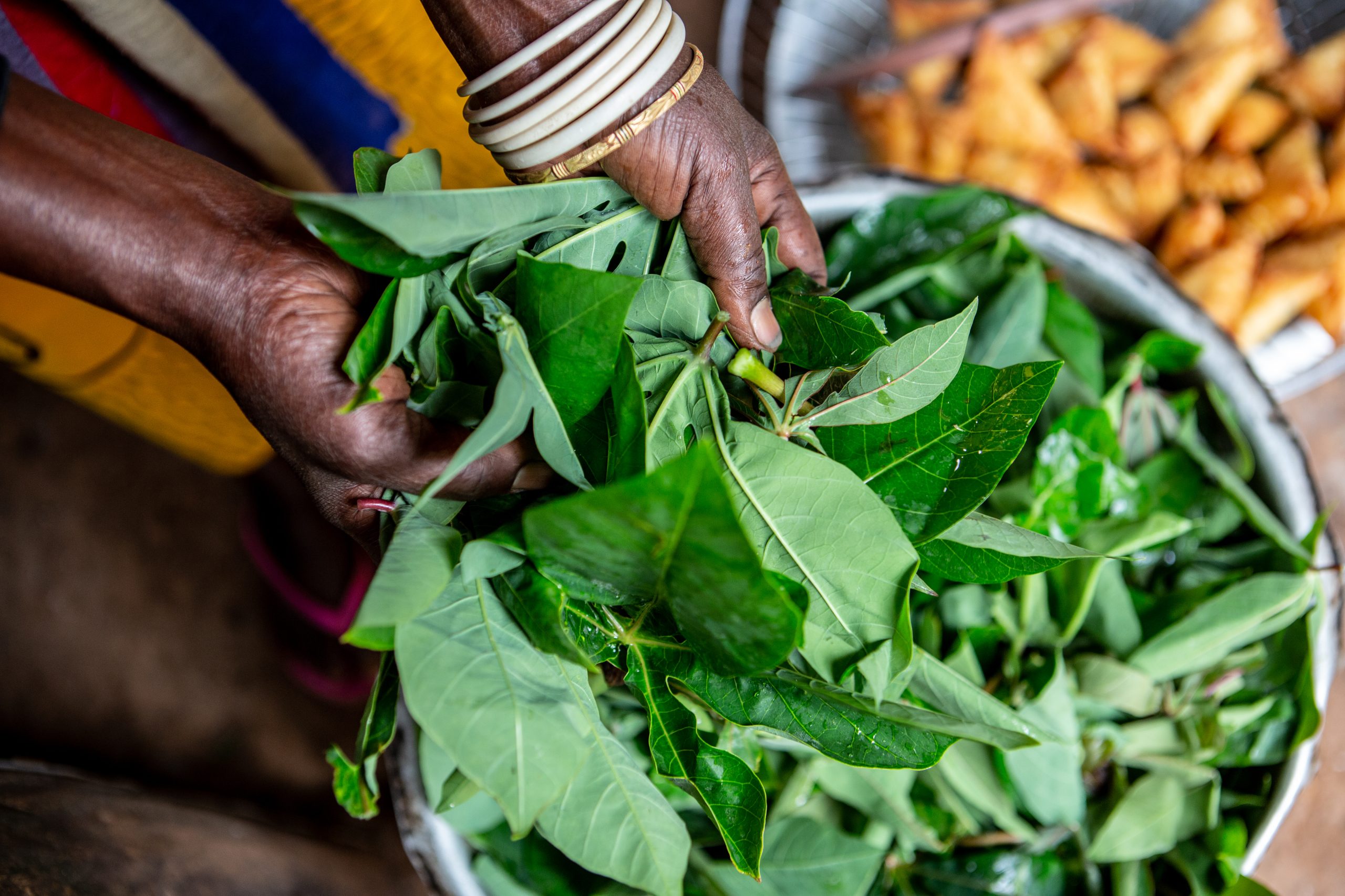 Rwanda is investing in a greener future