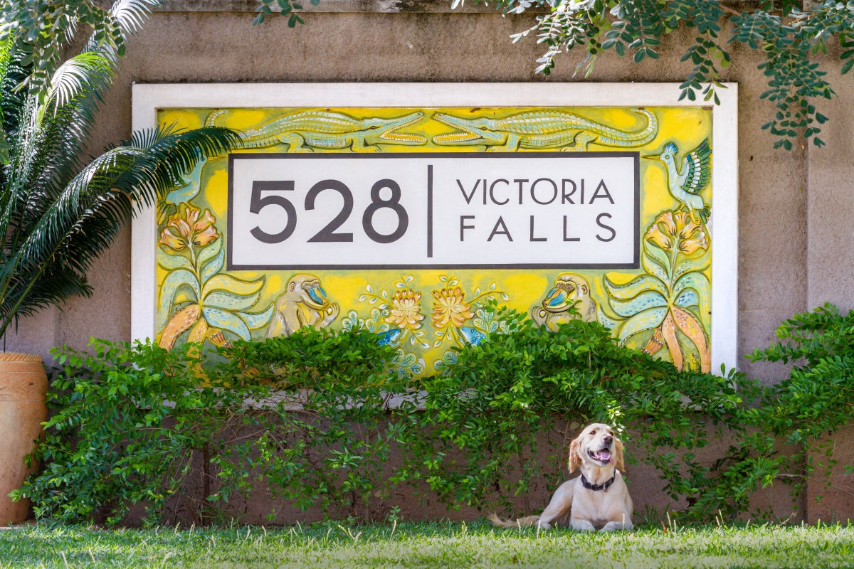 528 has personality written all over it